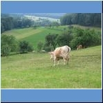 Odenwald